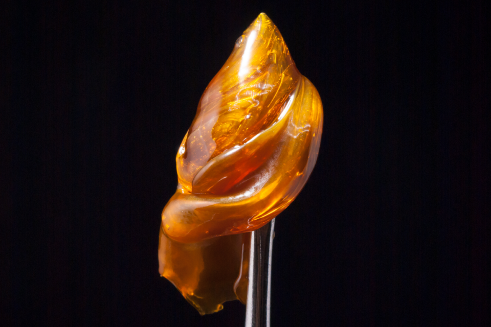 cannabis concentrates ft