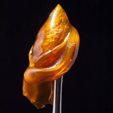 cannabis concentrates laughlin